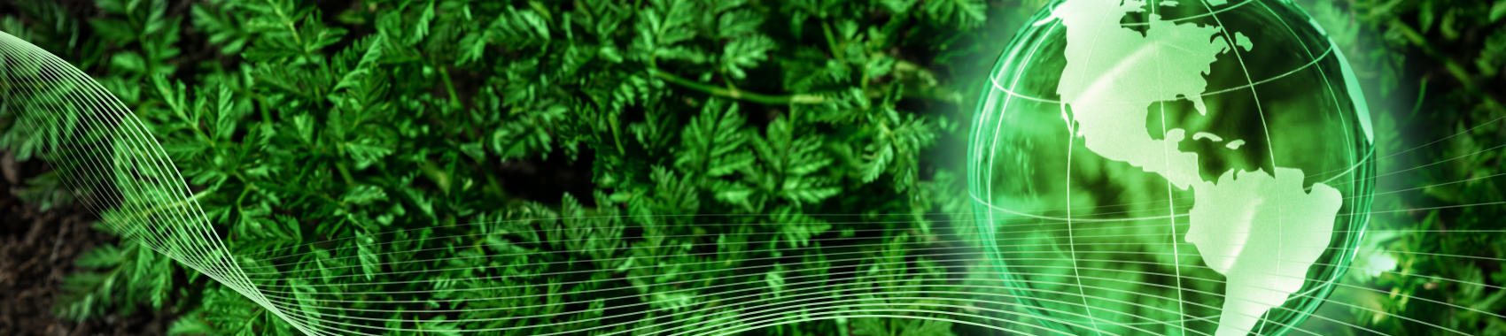 Web-banner-for-Green-Antenna